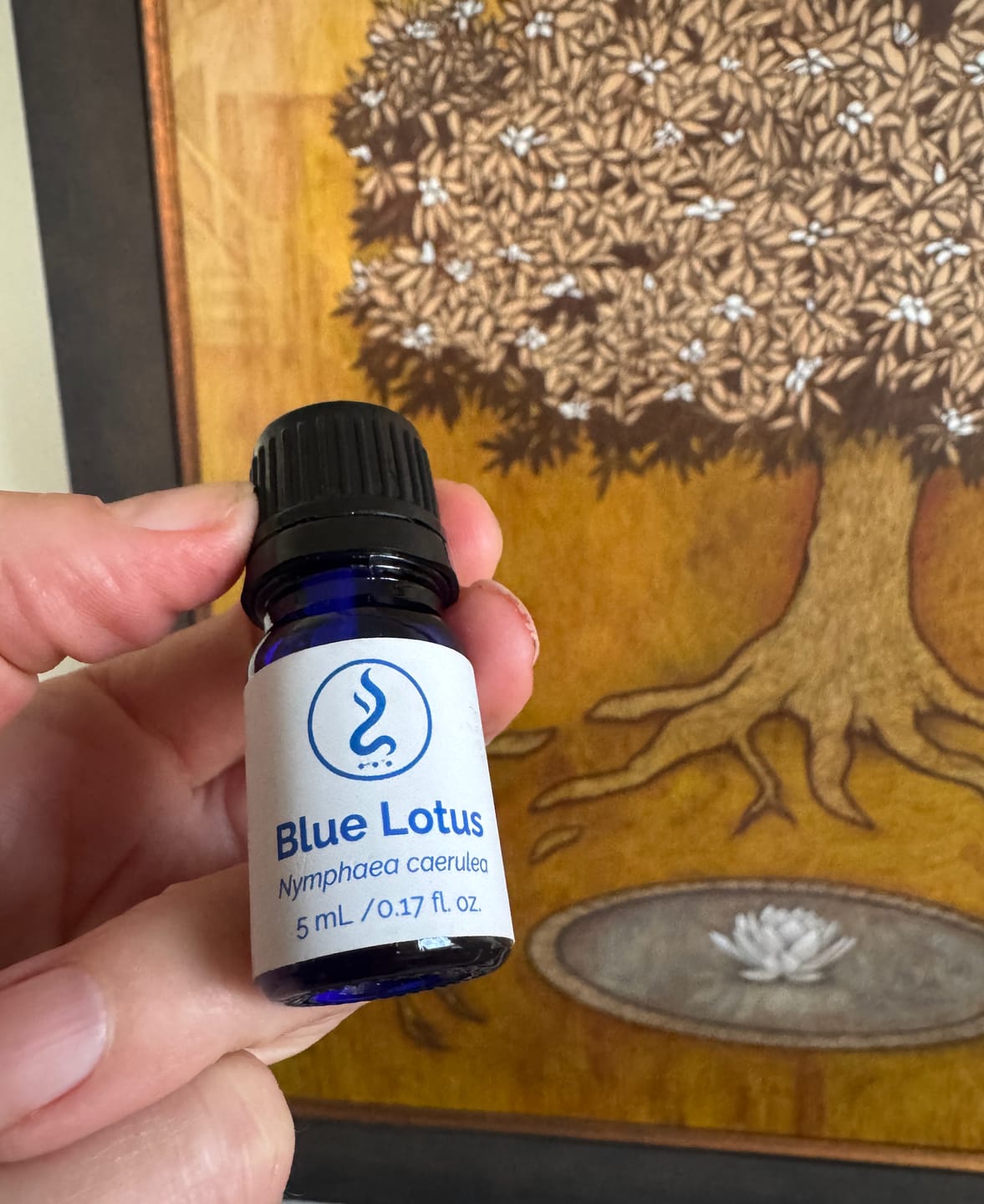 Customer photo review of True Egyptian Blue Lotus Oil 5 mL | Cold-Pressed