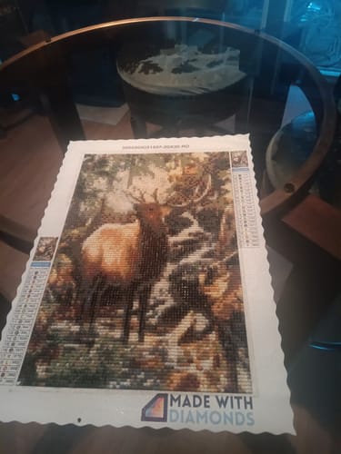 Customer photo review of Elk Deer