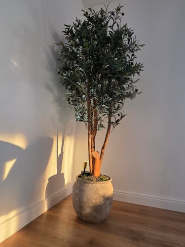 Customer photo review of Kunst Olijfboom 180cm Deluxe