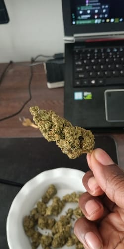 Customer photo review of Shipping Protection by Route