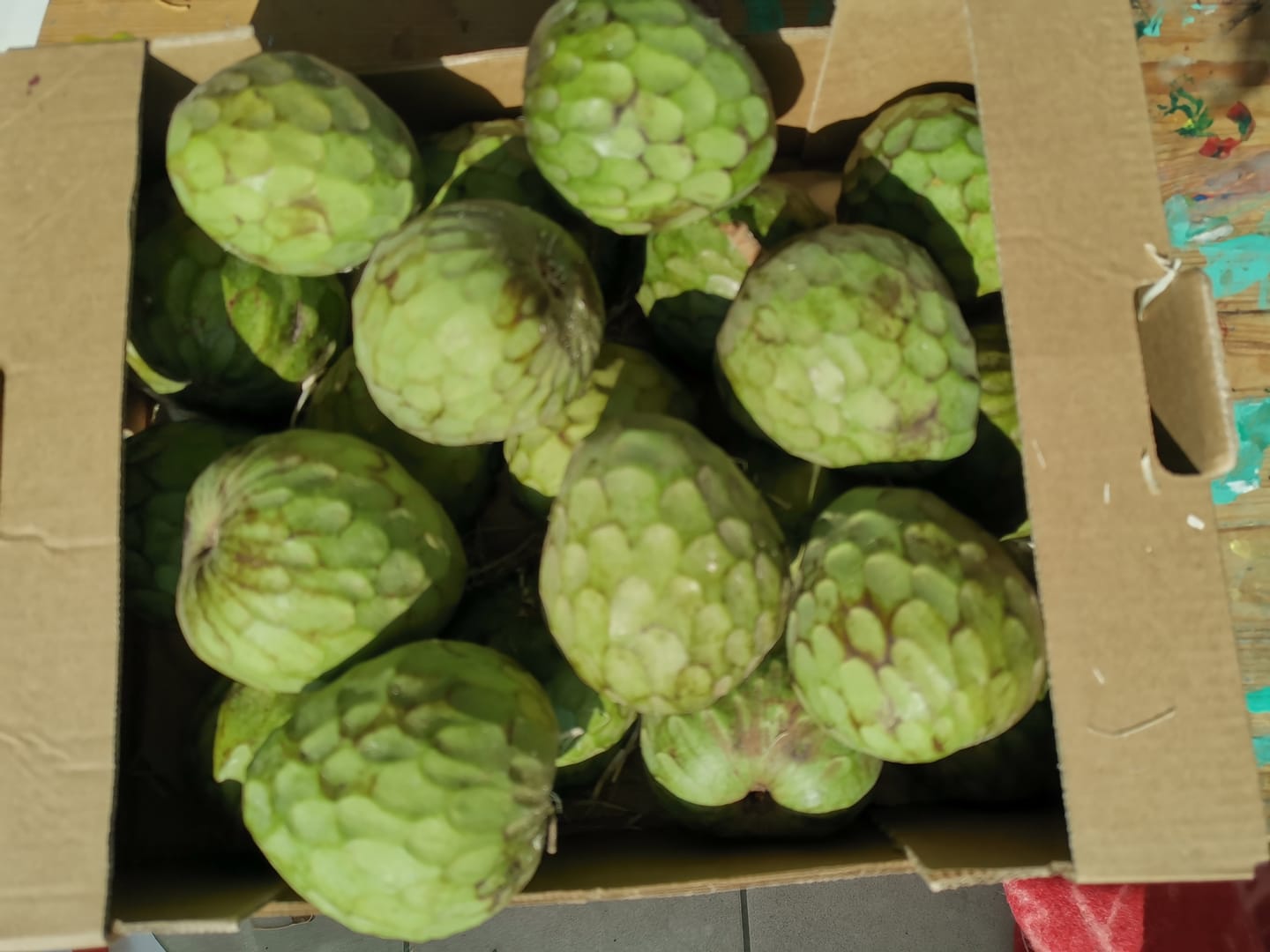 Customer photo review of Cherimoya Bio Hochernte-Retterbox Sonderaktion % 4kg