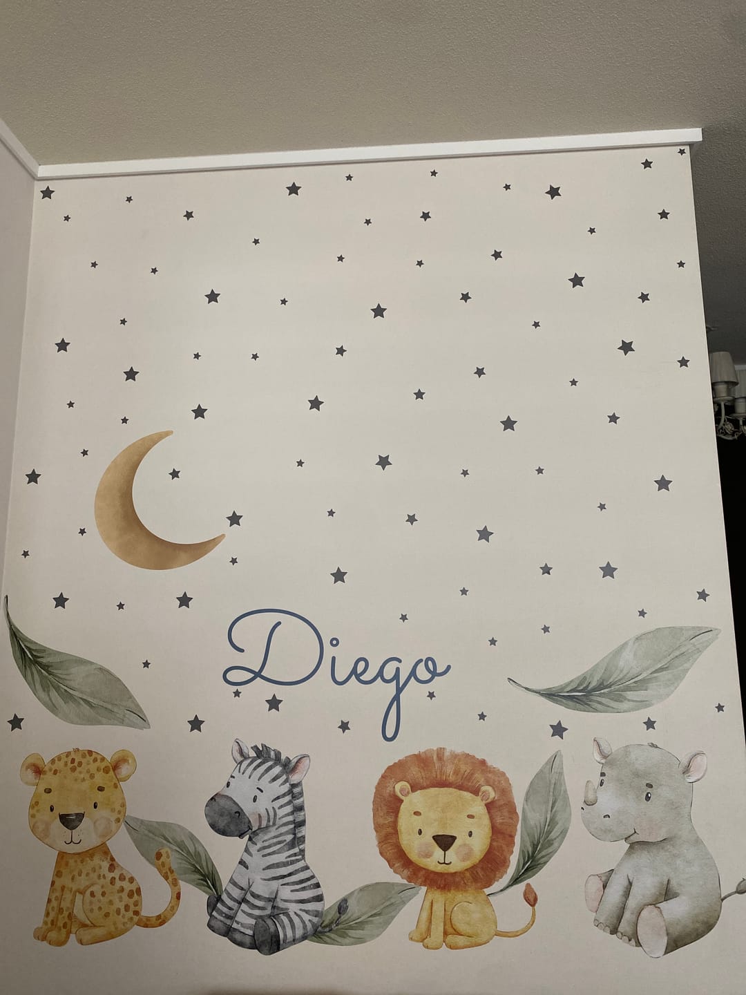 Customer photo review of Animales de la selva, luna y estrellas
