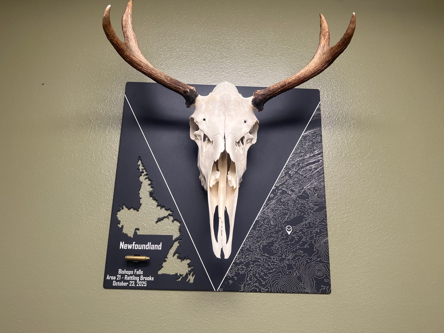 Customer photo review of Arrow/Bullet Clip