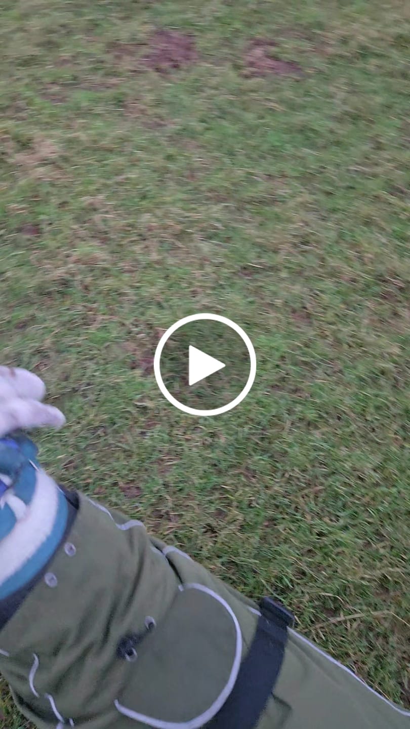 Customer video review of Bunny Long Legs Bungee