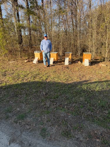 Customer photo review of BeeCastle Hives 10 Frame Wax Dipped Complete Beehive Kit:2 Designed Deep Bee Boxes and 1 Super Medium Box,Includes Premium Wooden Frames and Beeswax-Plastic Foundation