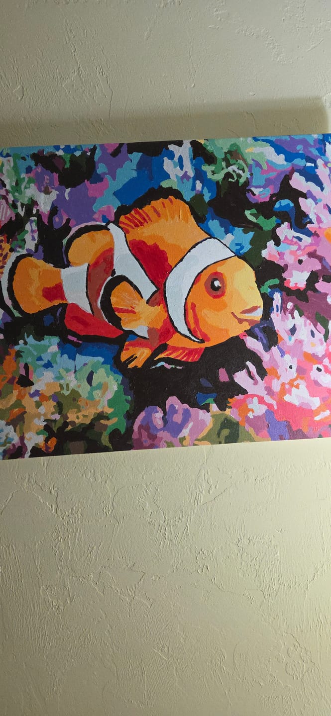 Customer photo review of New Discovery