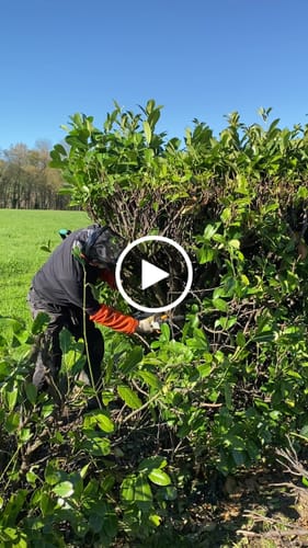 Customer video review of 18V Nexxsaw Cordless One-Hand Chainsaw 6'' Set - Incl. 2.0Ah Battery, Charger & Extra Chain