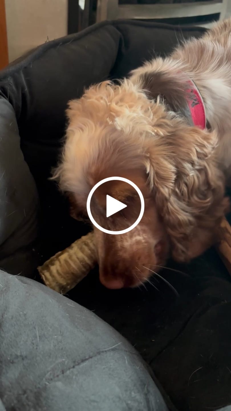 Customer video review of Lamb Braid (120g)