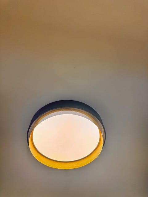 Customer photo review of Modern LED Iron Mesh Circular Flush Mount Light