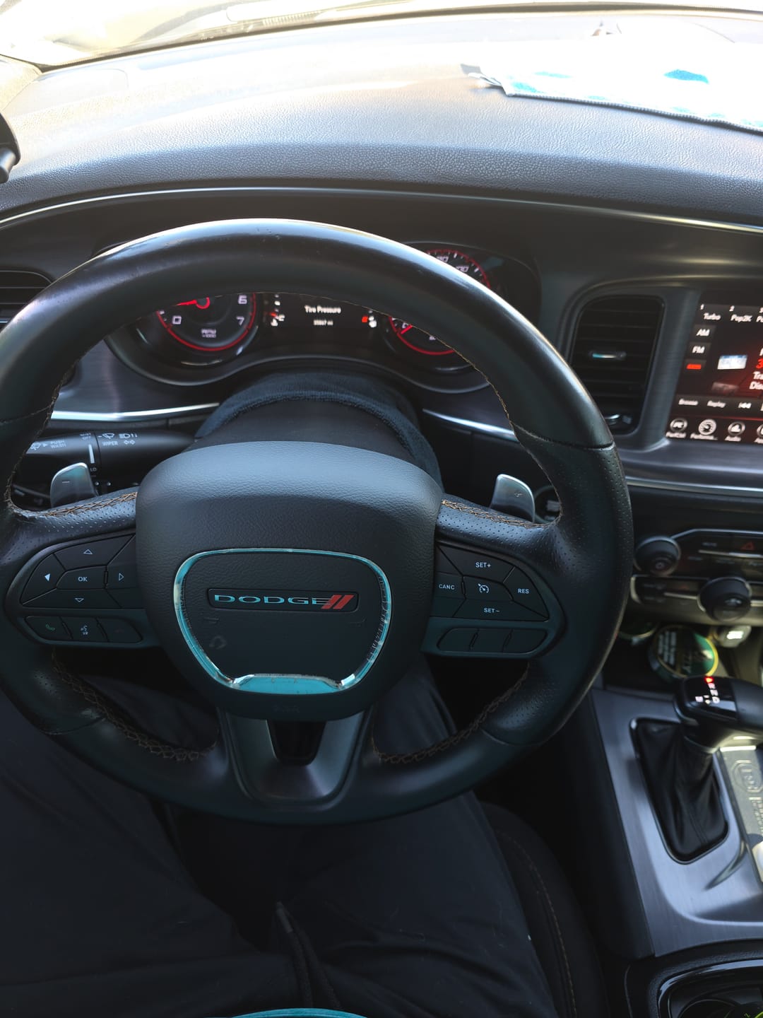 Customer photo review of BLACKLINE® RESET INTERIOR CLEANER & SCENT BOOSTER