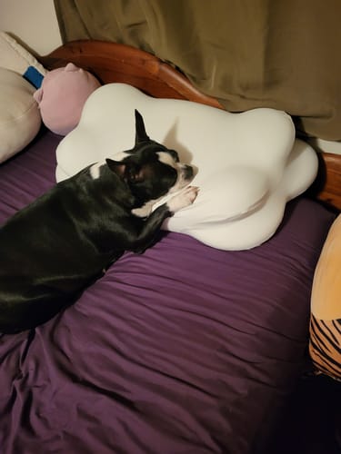 Customer photo review of Cloud Cooling Pillow Case