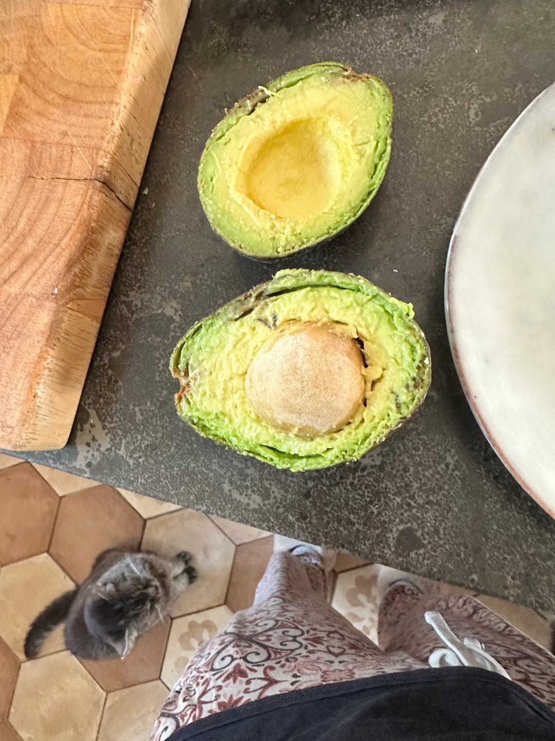 Customer photo review of Avocado "Lamb Hass" von Julian