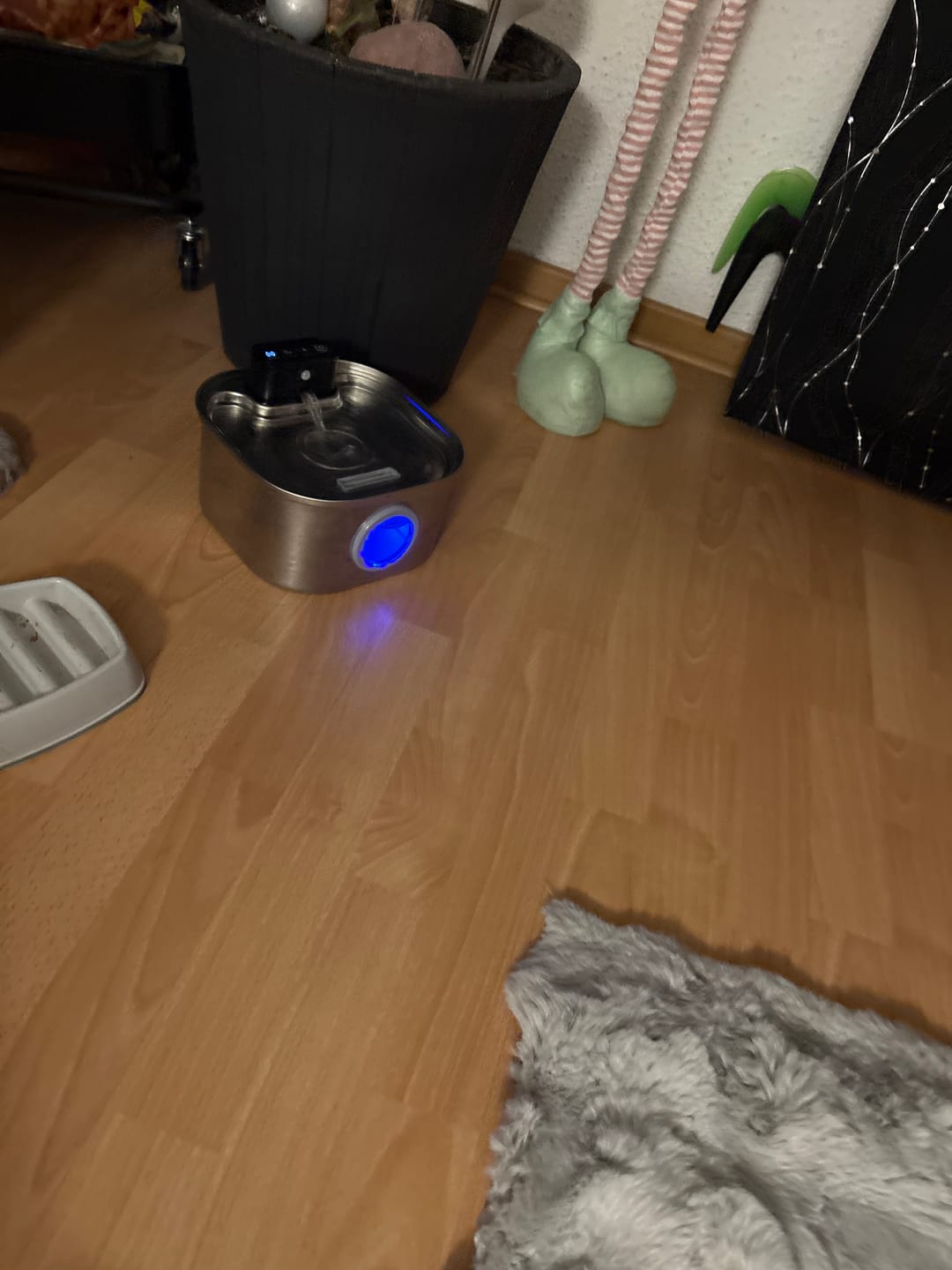 Customer photo review of PfotenBrunnen™ - Katzenwasserspender