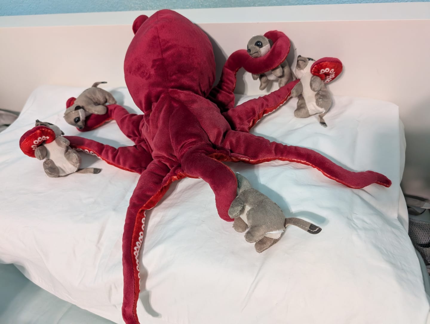 Customer photo review of Red Octopus Soft Stuffed Plush Toy