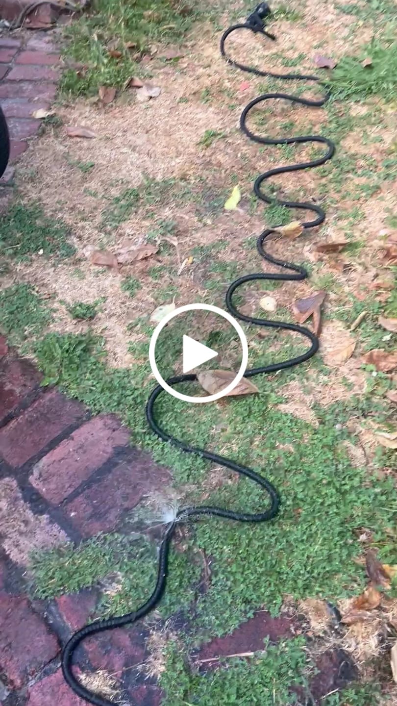 Customer video review of GardenMate™ - Expandable Garden Hose