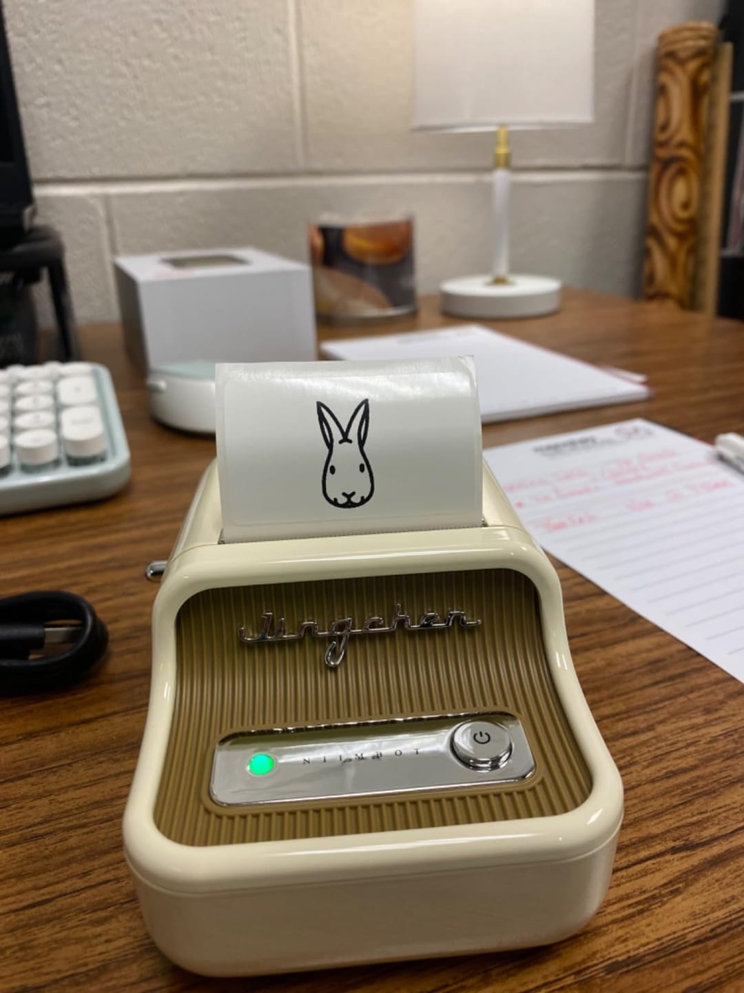 Customer photo review of Lumi B21™️