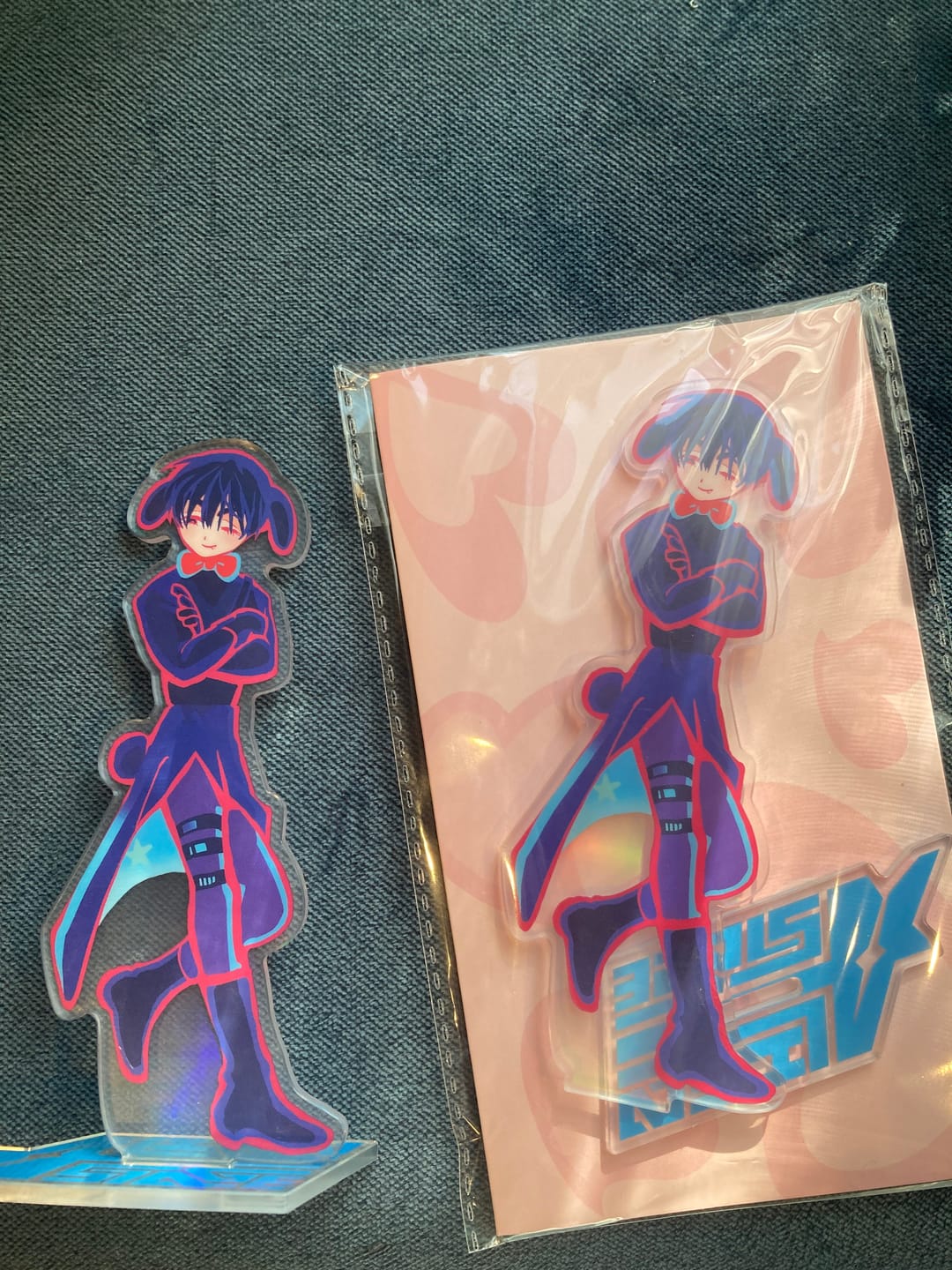 Customer photo review of Alien Stage Rabbit Series Acrylic Standee & Photocard