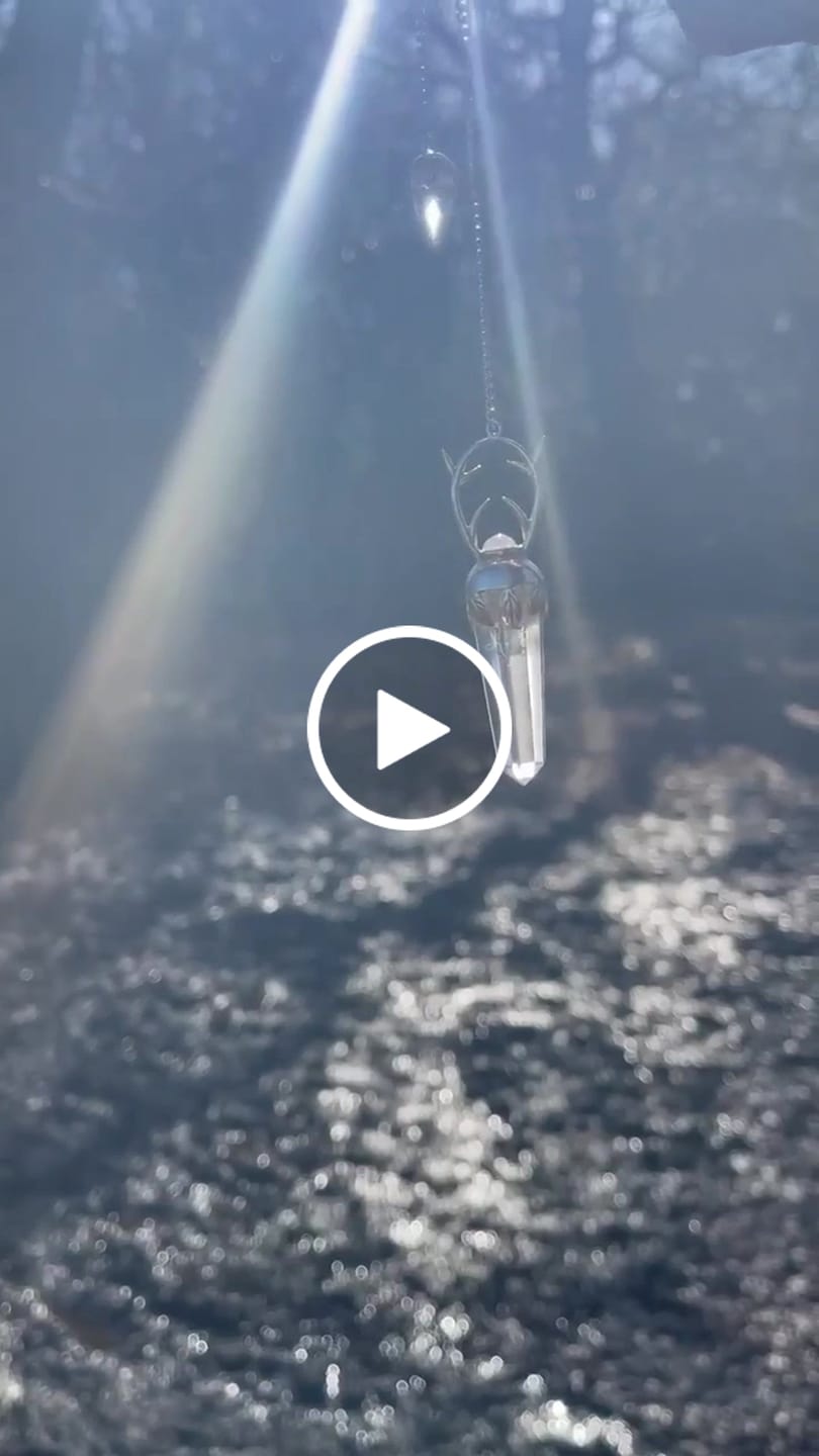 Customer video review of Wildwood Oracle Pendulum
