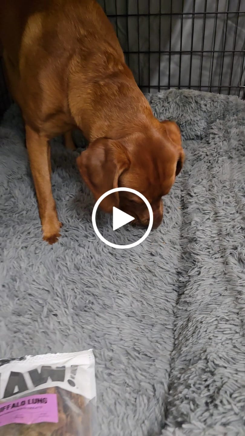 Customer video review of Buffalo Lung (130g)