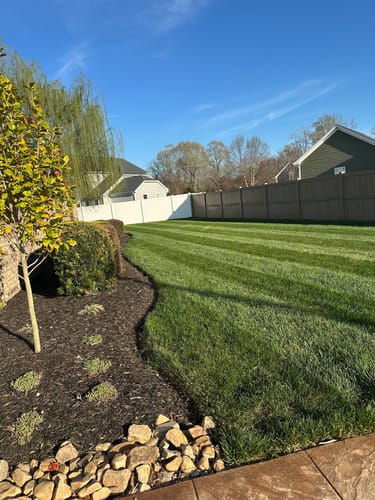 Customer photo review of GCI Turf 30-0-0 G