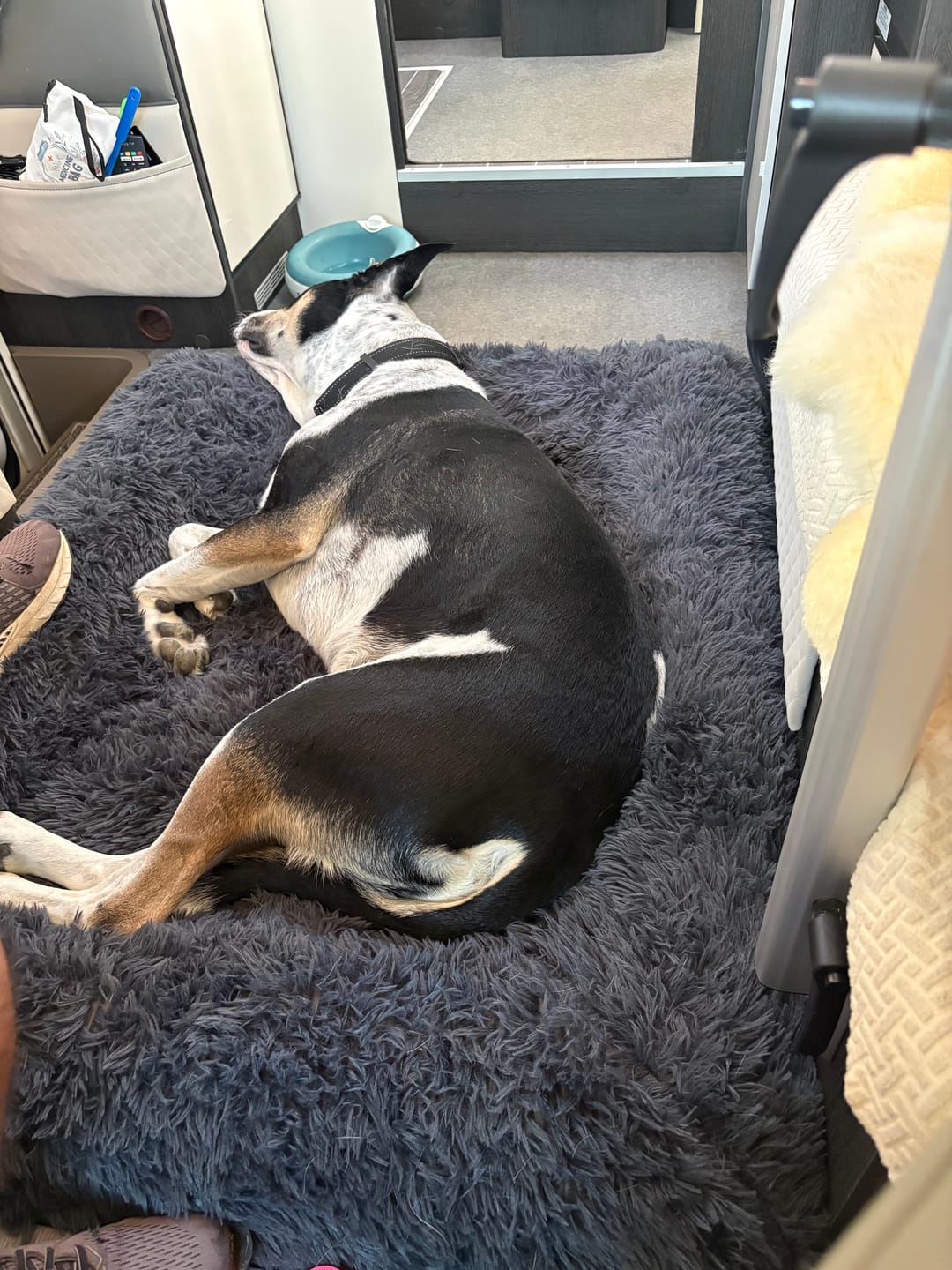 Customer photo review of Orthopaedic Memory Foam Bed