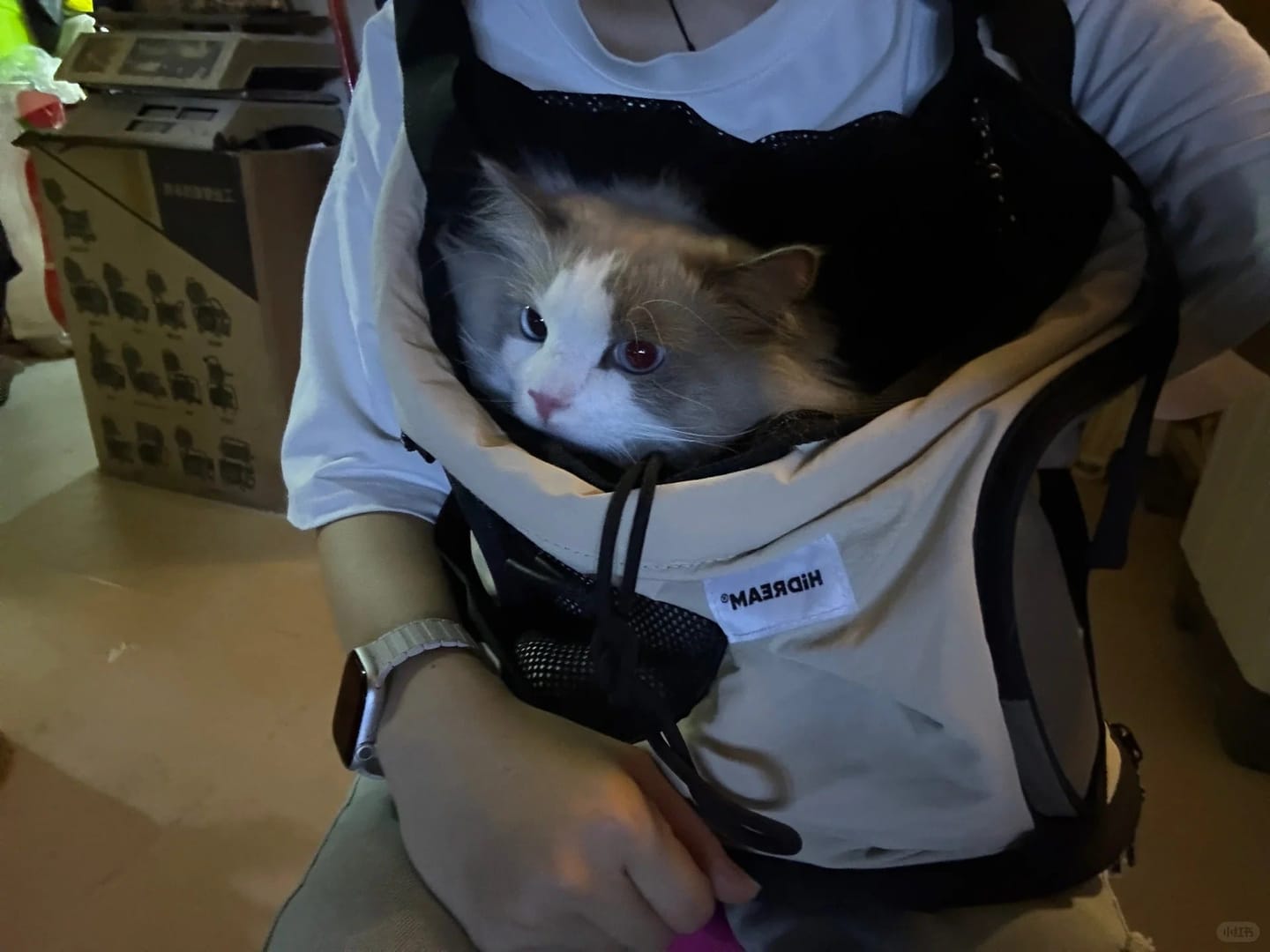 Customer photo review of Comfortable Labor-saving Front Pet Carrier