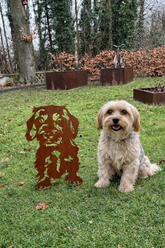 Customer photo review of Gartenstecker Rauhaardackel