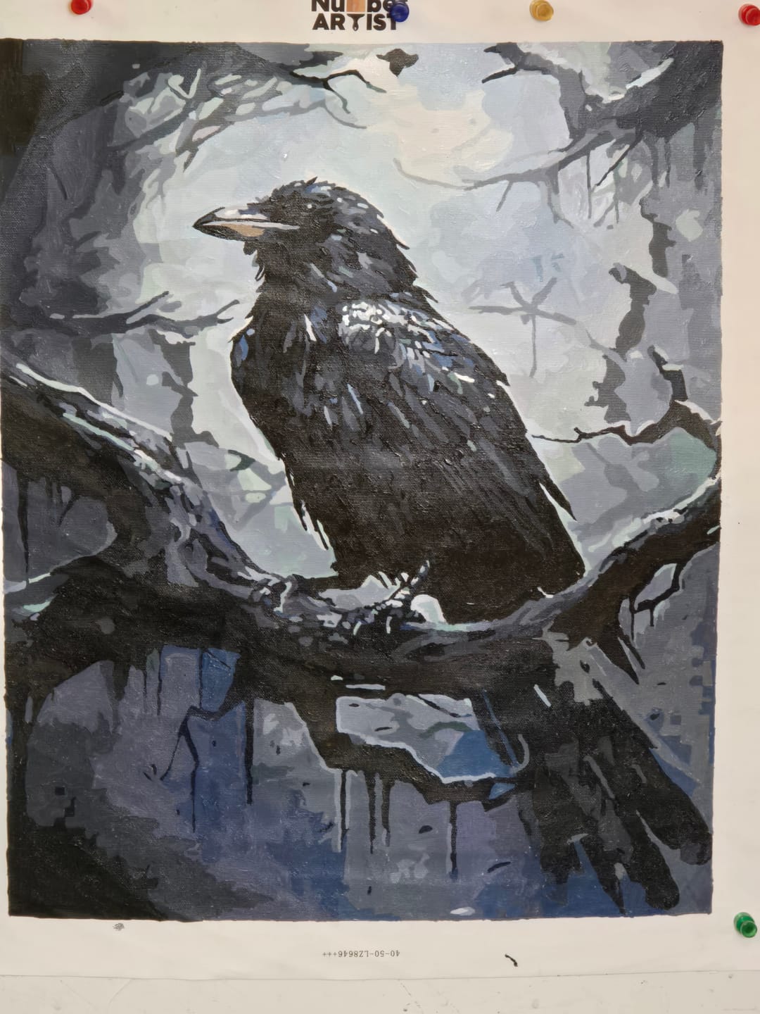 Customer photo review of Mysterious Raven