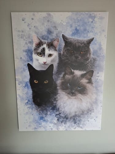 Customer photo review of Your Cat as Watercolor Portrait