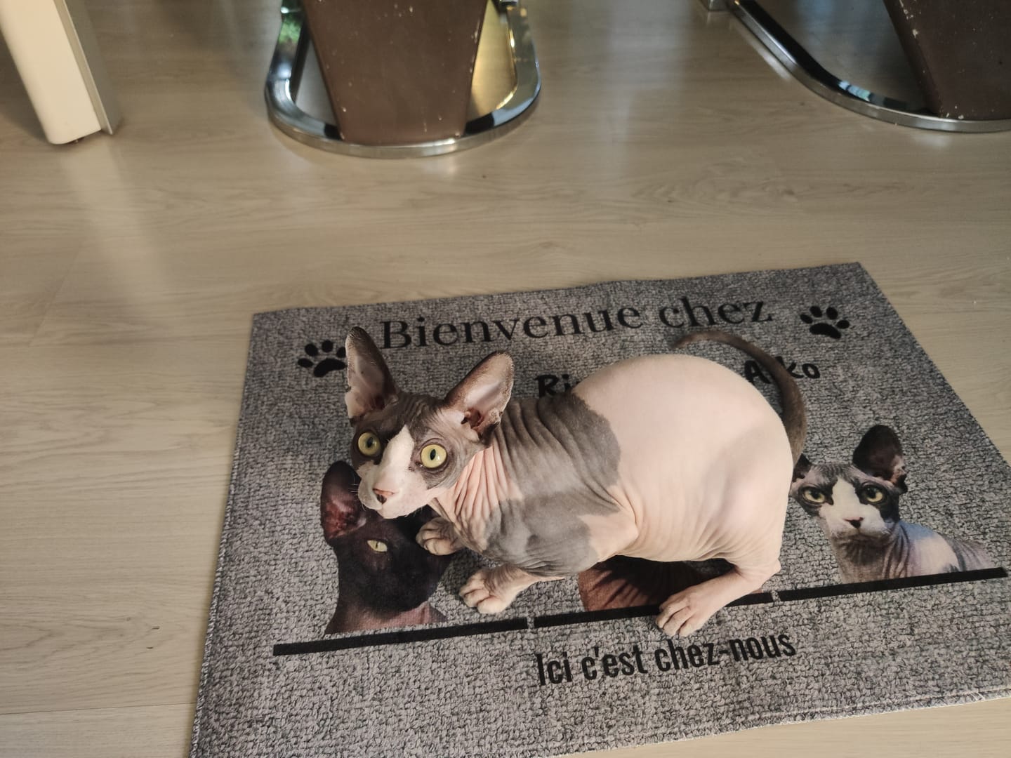 Customer photo review of Bienvenue chez - Paillasson personnalisé