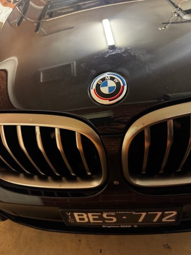 Customer photo review of BMW M 50 Year Anniversary Emblem Badges