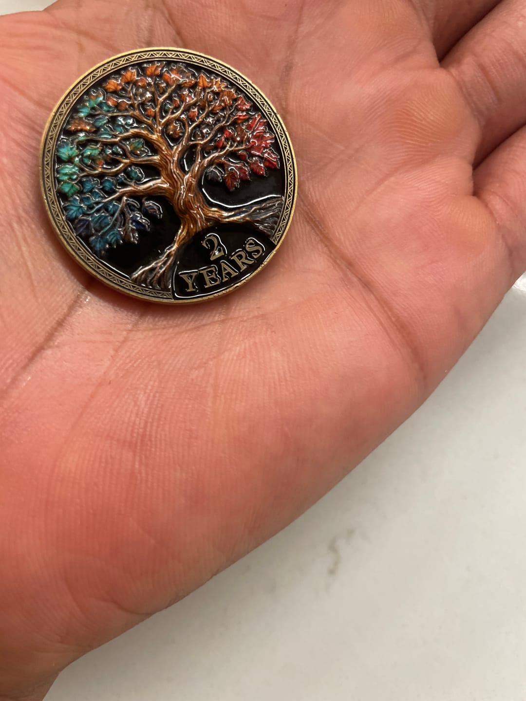 Customer photo review of Tree of Life Affirmation Sobriety Coin Gift Set - Multicolor