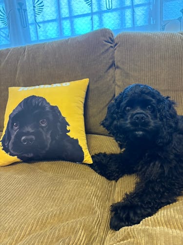 Customer photo review of Petcanva® 品質補償サービス