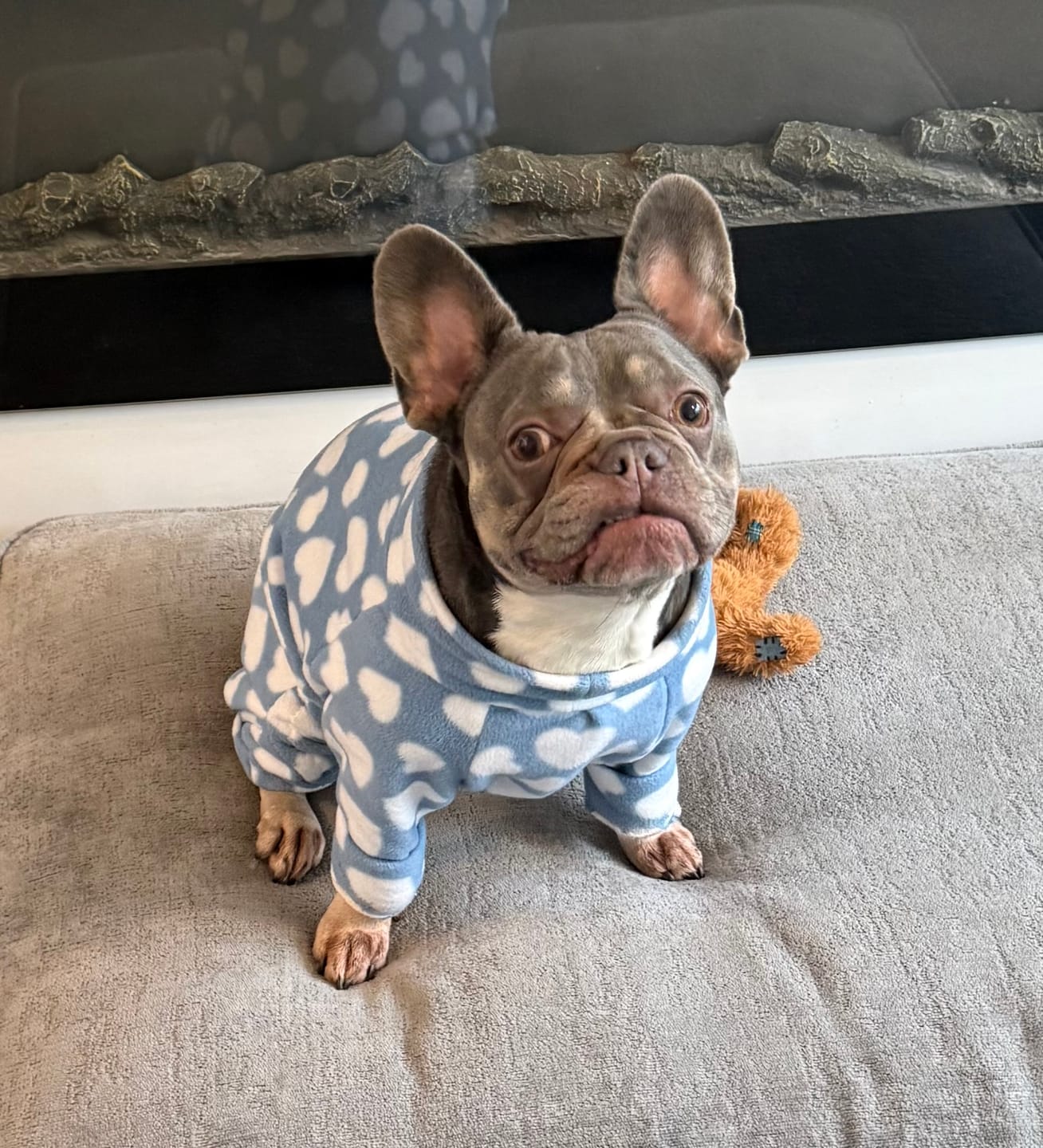 Customer photo review of All Over Hearts Anti Pill Polar Fleece Fabric
