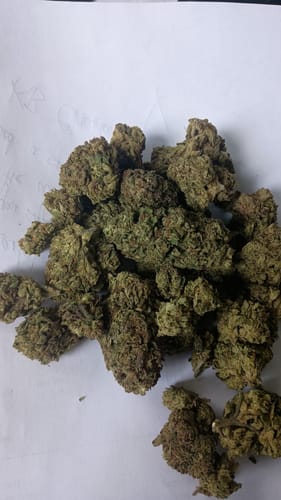 Customer photo review of Gary Payton