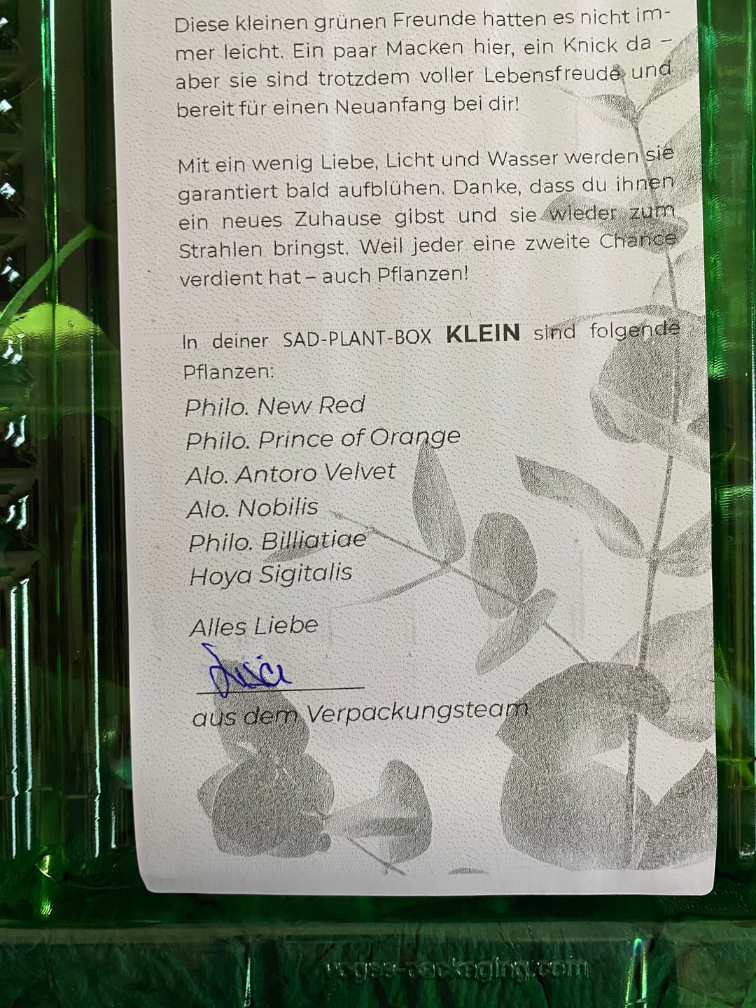 Customer photo review of SAD-PLANT-SET