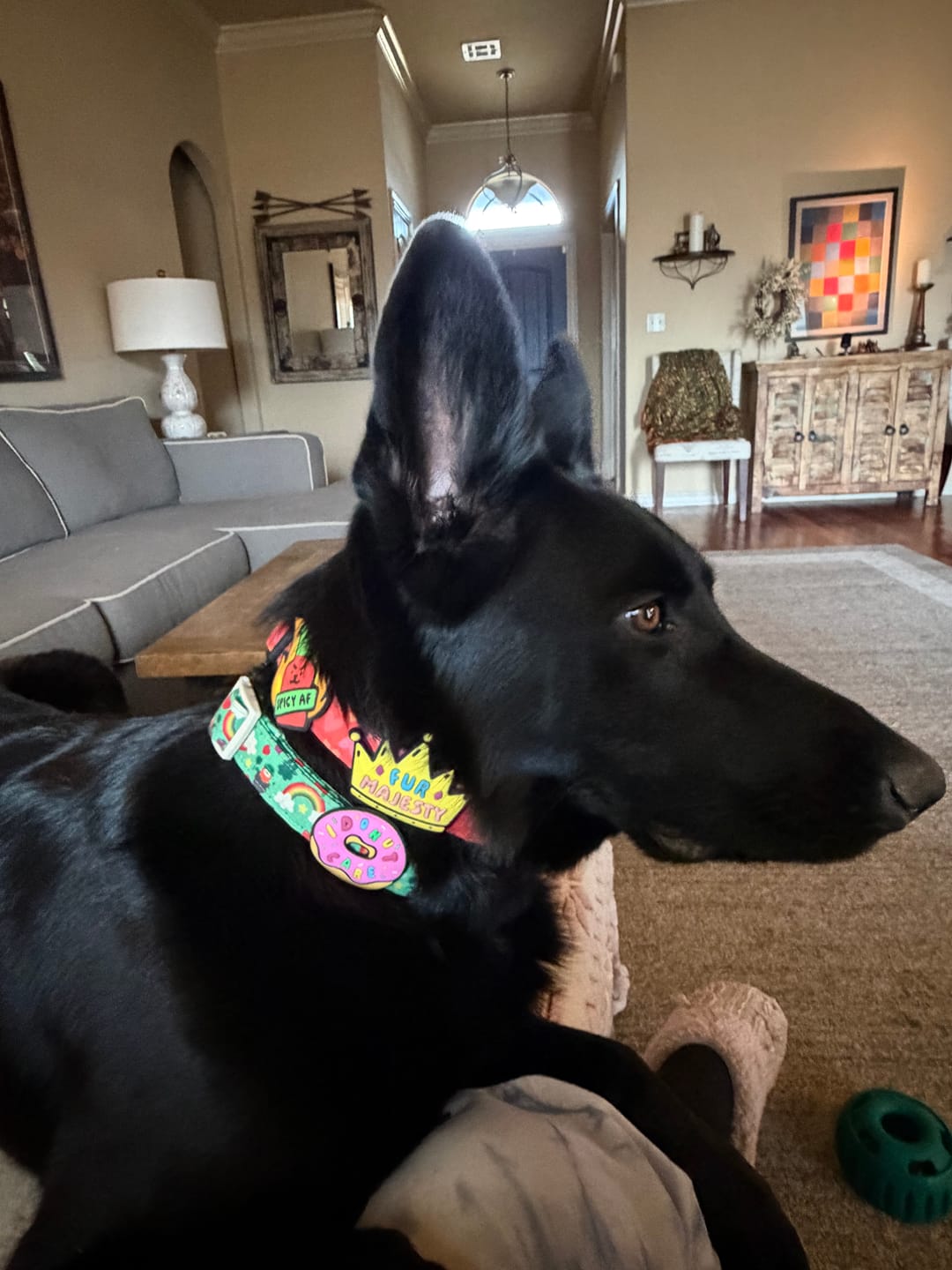 Customer photo review of Mom Tattoo Jiby Dog Charm