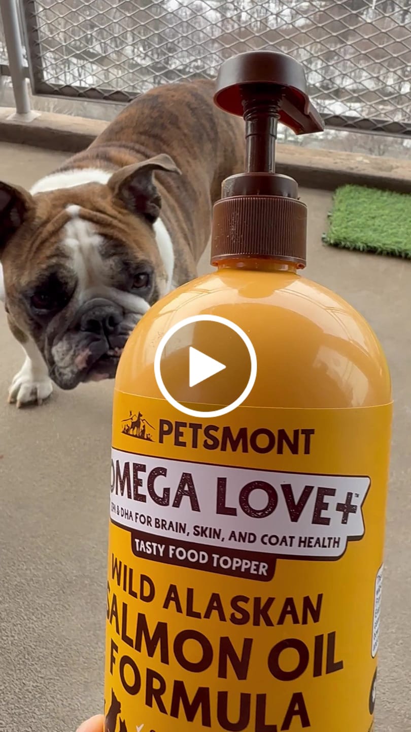 Customer video review of Wild Alaskan Salmon Oil for Dogs | Omega 3, 6 & 9 | Petsmont Omega Love+