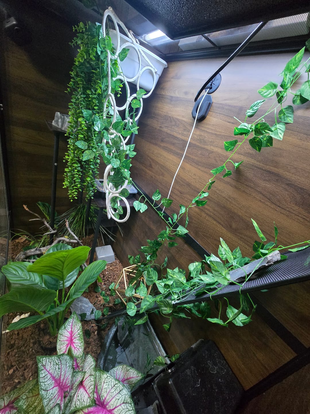 Customer photo review of Radiant Heat Panel, Flush Mount for Reptile Enclosure (14"x21")