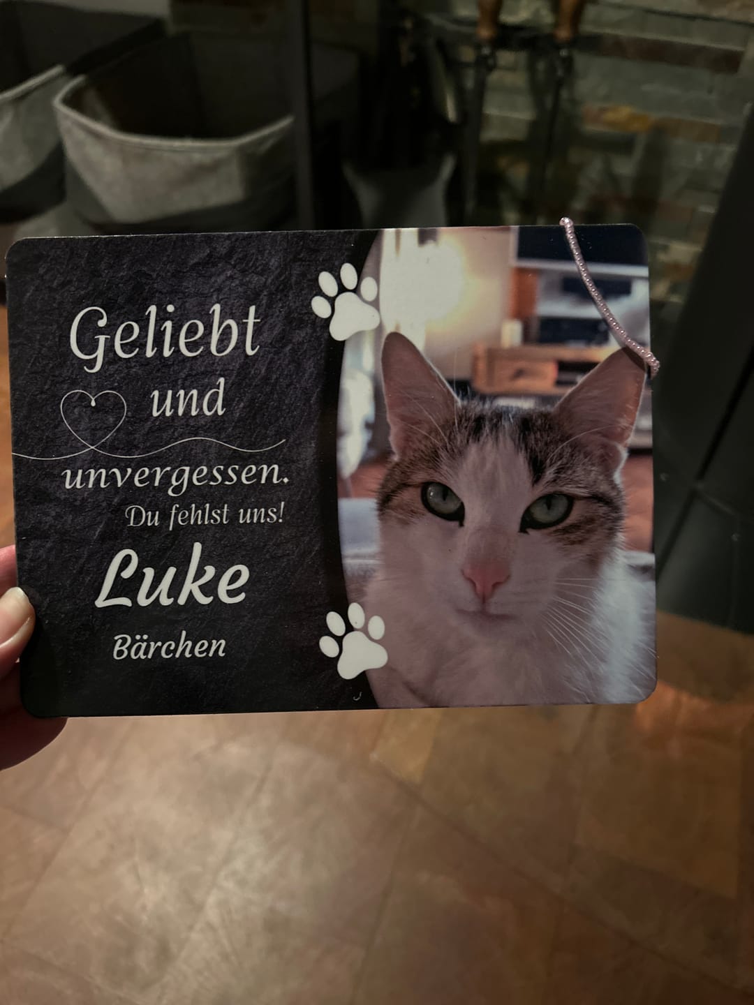 Customer photo review of Katzen Gedenktafel mit Foto & Spruch (UV- & Wetterfest)