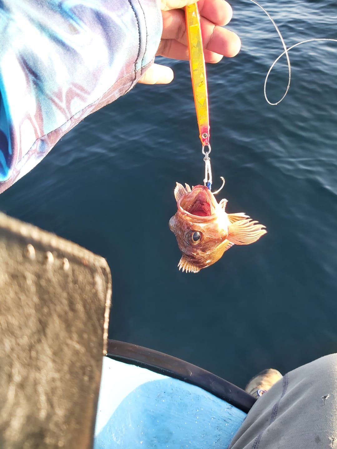 Customer photo review of Evil Metal Jig 28gr 132OBLU