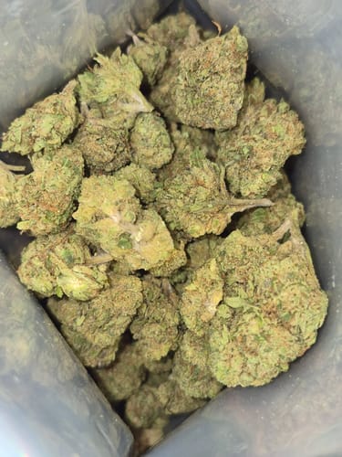 Customer photo review of Lemon Cherry Gelato Runtz - 28 Grams Littles - Indica