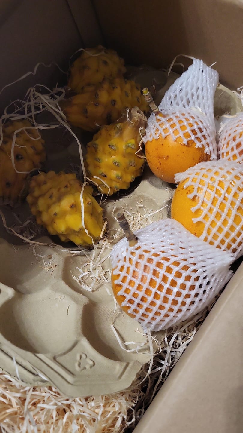 Customer photo review of Drachenfrucht gelb & Granadilla Aktionswoche