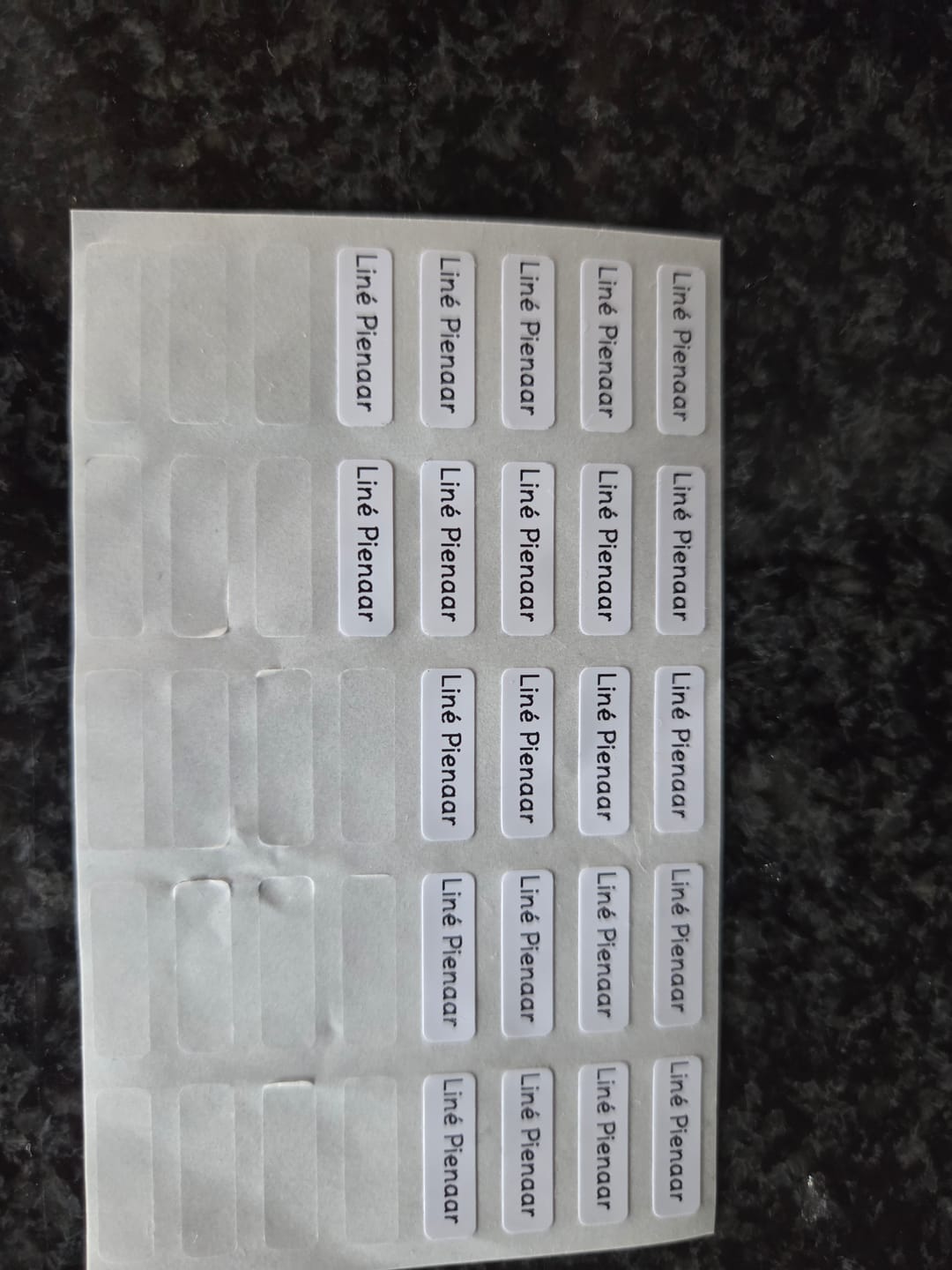 Customer photo review of Micro Labels