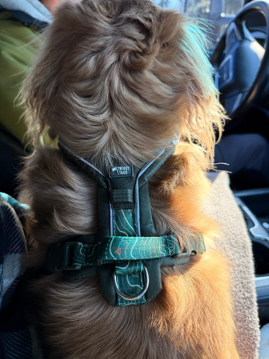 Customer photo review of Apex® Harness