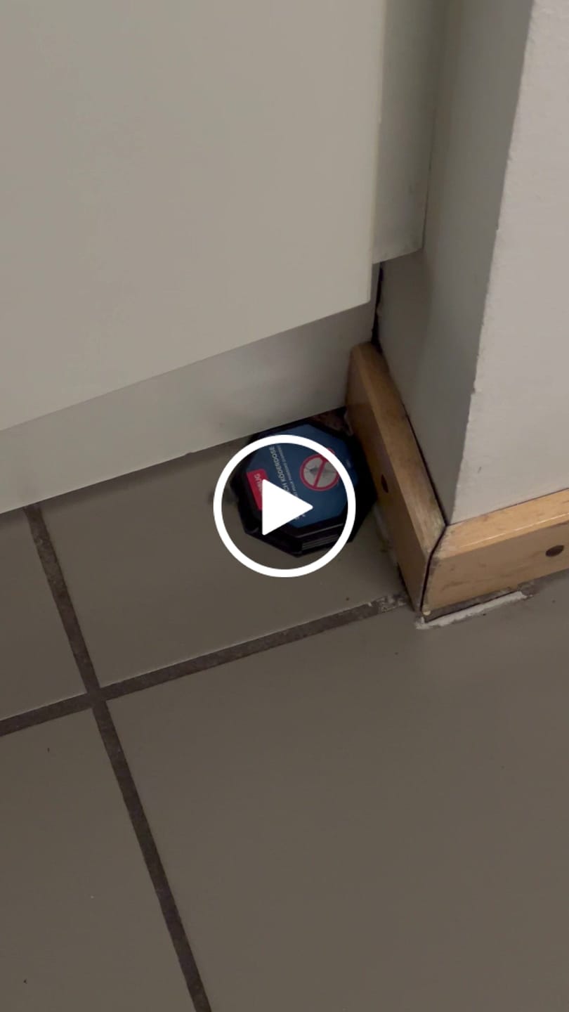 Customer video review of Silberfisch-Köderdose