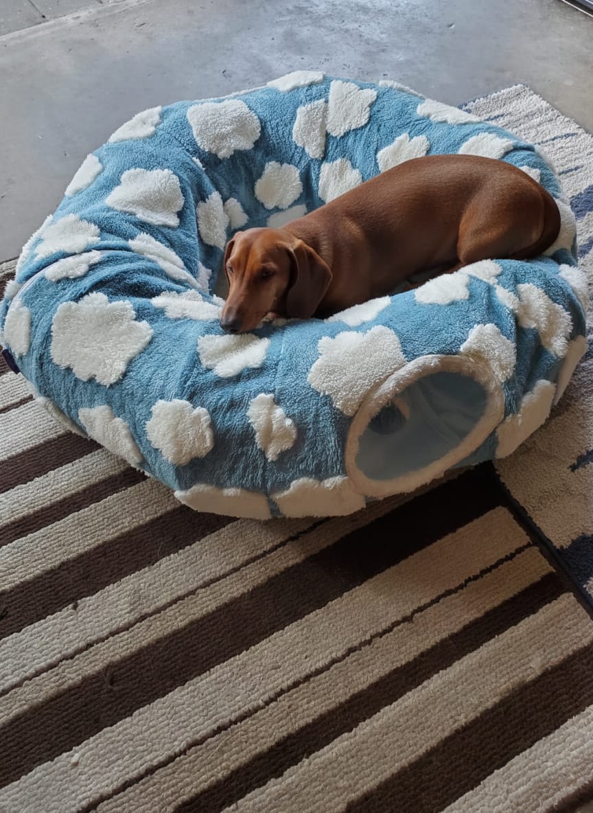 Customer photo review of Dachshund Tunnel Bed