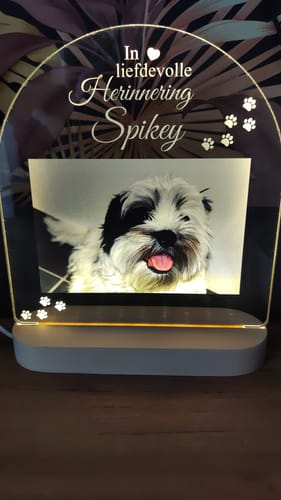 Recensent's 'In liefdevolle herinnering' ledlamp, gepersonaliseerd met een foto van hun hond Spikey.