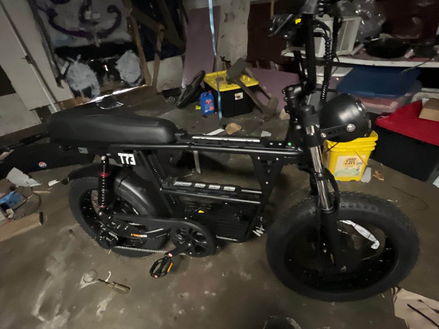 Customer photo review of Tamobyke T73 Pro Max Electric Bike