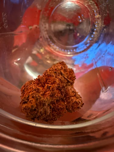 Close-up of a reviewer's dense, orange-brown Lady Zaza nug resting inside a glass jar.